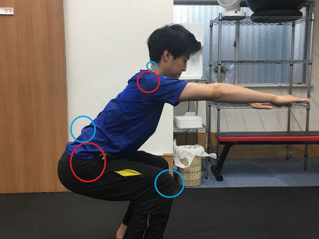 関節の役割