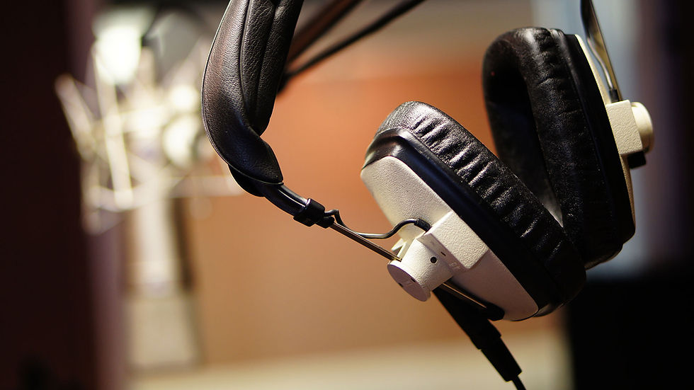 Professional Headphones