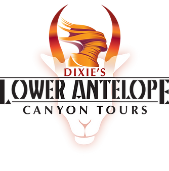 Dixie_LACT_Logo copy.png