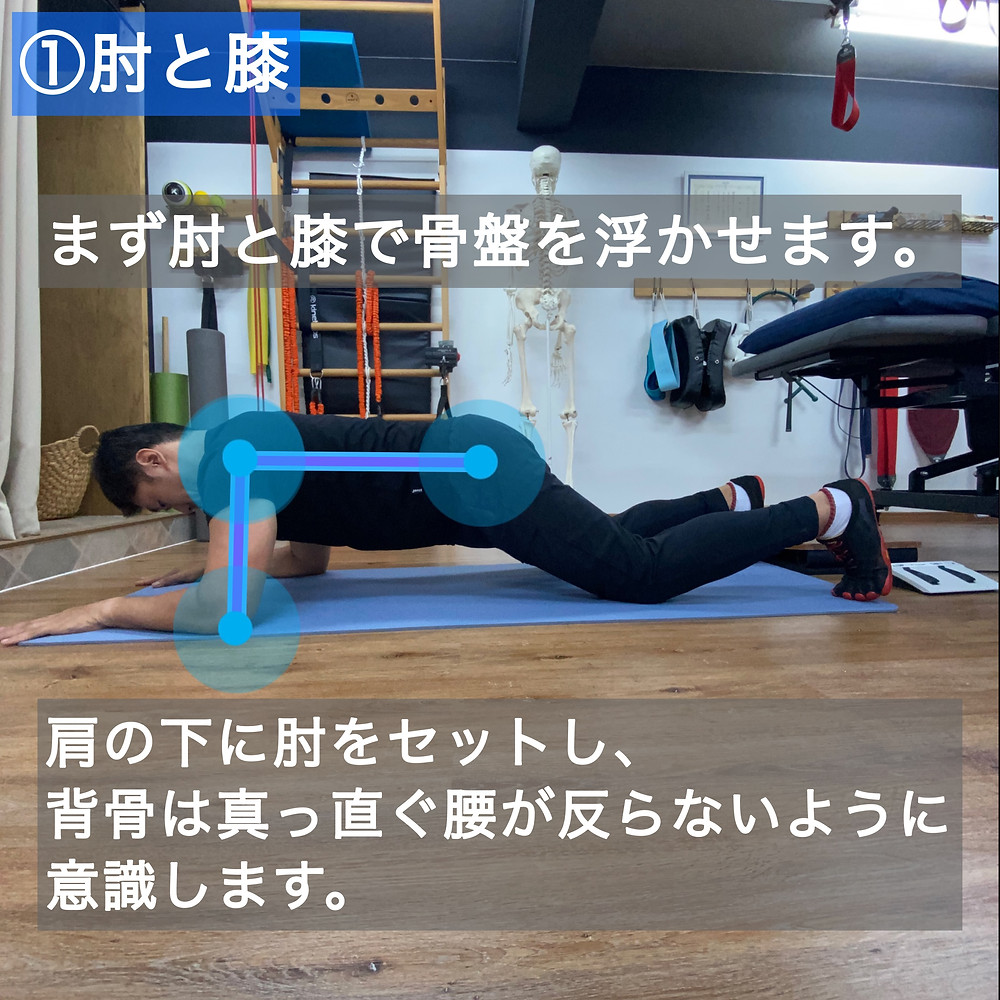 体幹トレーニングの代表格であるプランクのトレーニング説明。特に初心者は段階的にトレーニングする事が必要です。正しいフォームでなければお腹に効かないので、注意が必要。