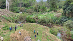 Richmond Landcare Supports Call to Establish a Richmond River Commissioner