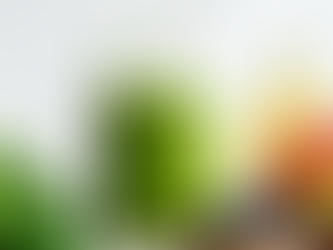 Make Do-it-yourself Smoothies With A Smoothies Maker