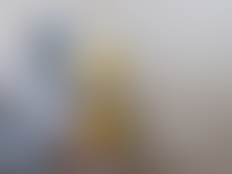 We offer complete mold testing and remediation services