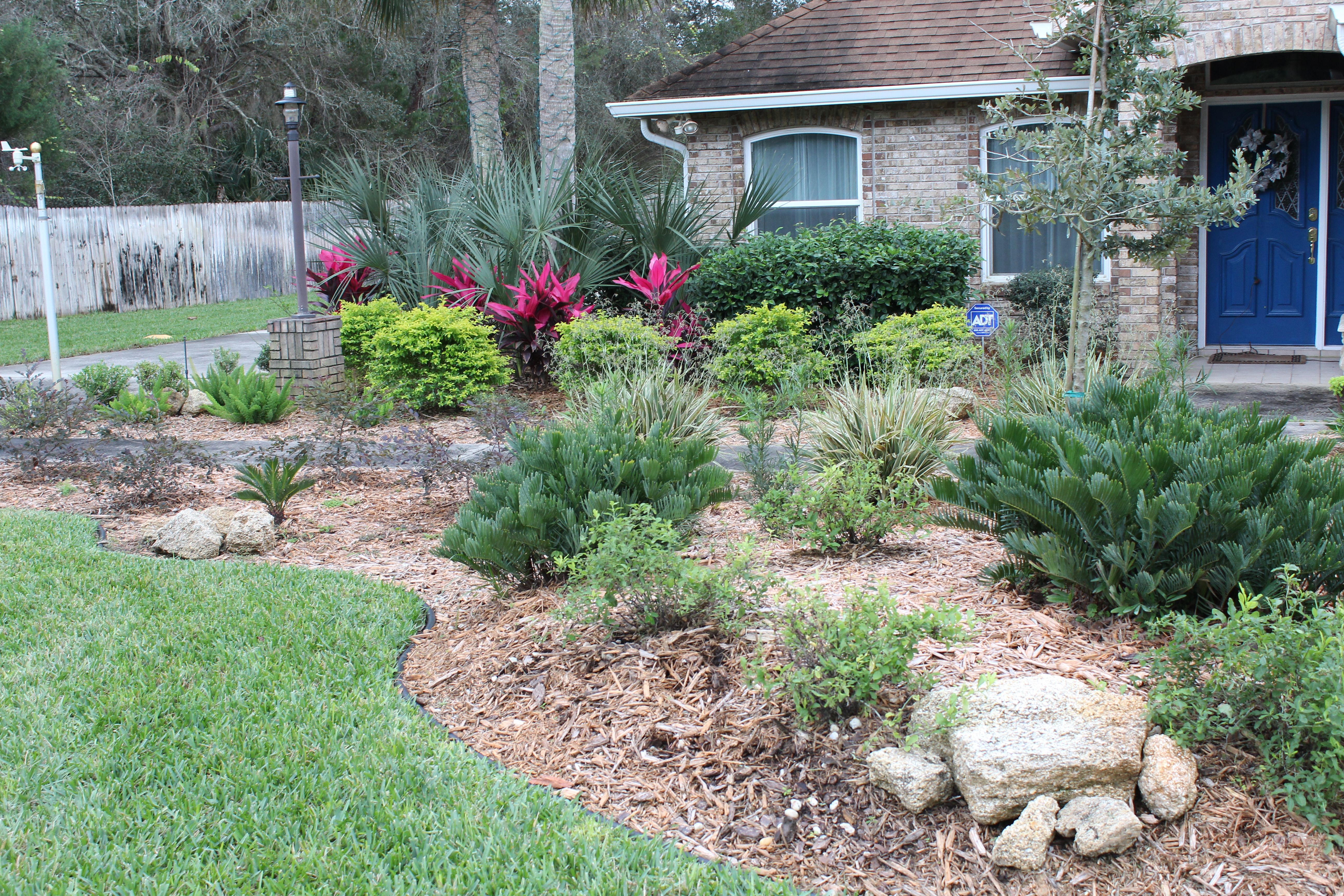 Shrub Landscape