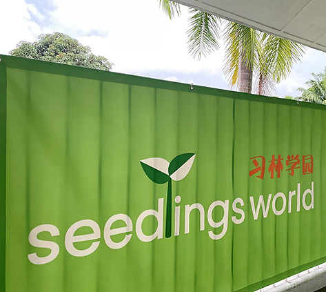 Seedlings World Joo Chiat