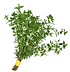 Thyme (bunch)