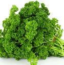 Parsley Curly (bunch)