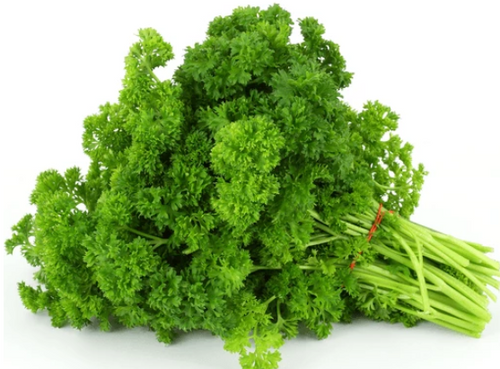 Curly Parsley