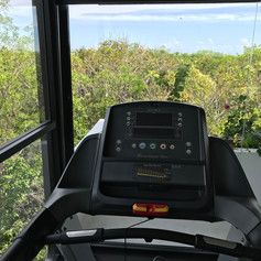 view from gym.jpeg