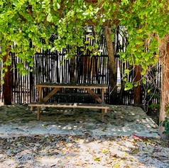 picnic area.jpeg