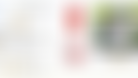 Entrevista com o Presidente da FDFDF