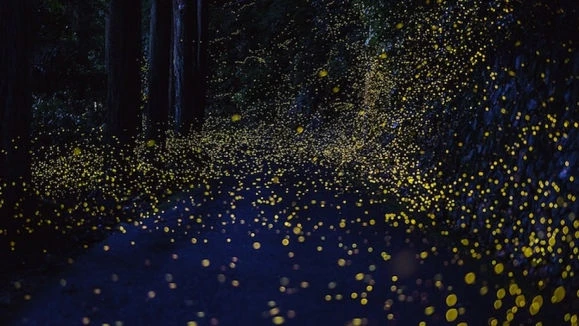 Nearby Attractions Mapsa 2018