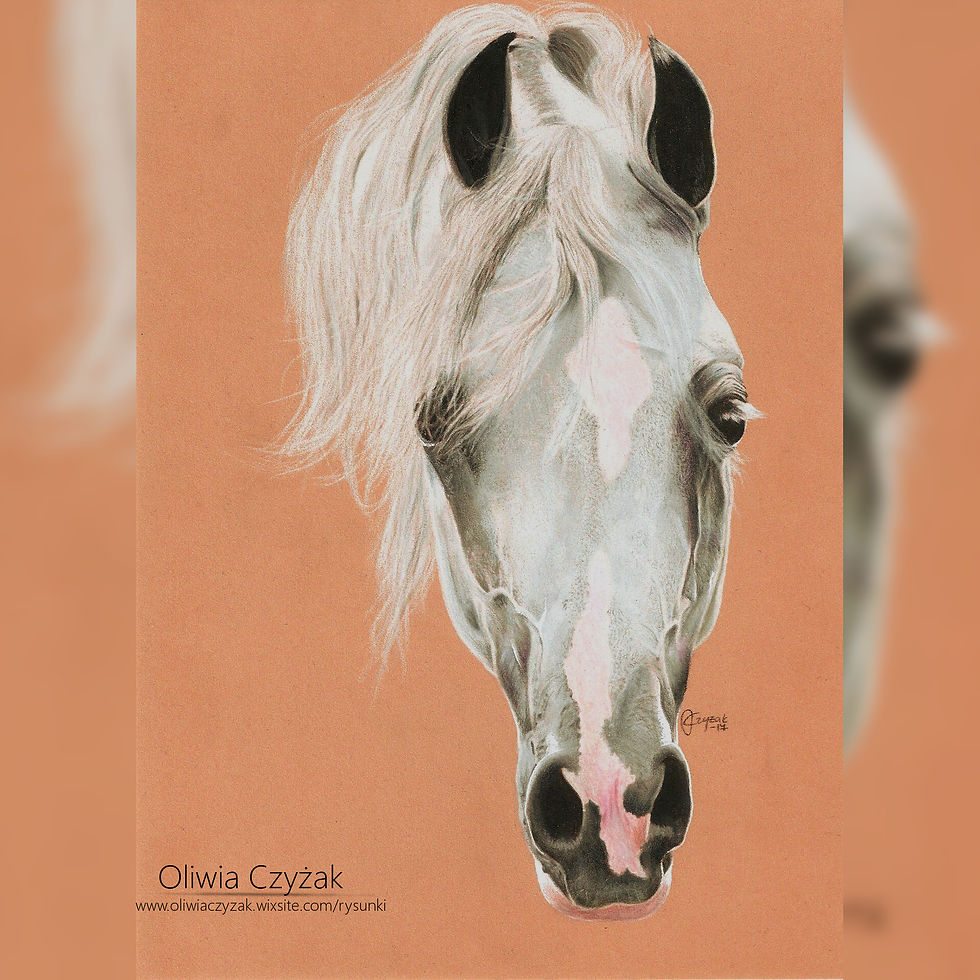 Rysunek konia