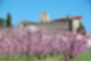 spring view.jpg