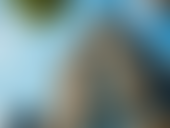 Mitigating Risks in Real Estate Investments