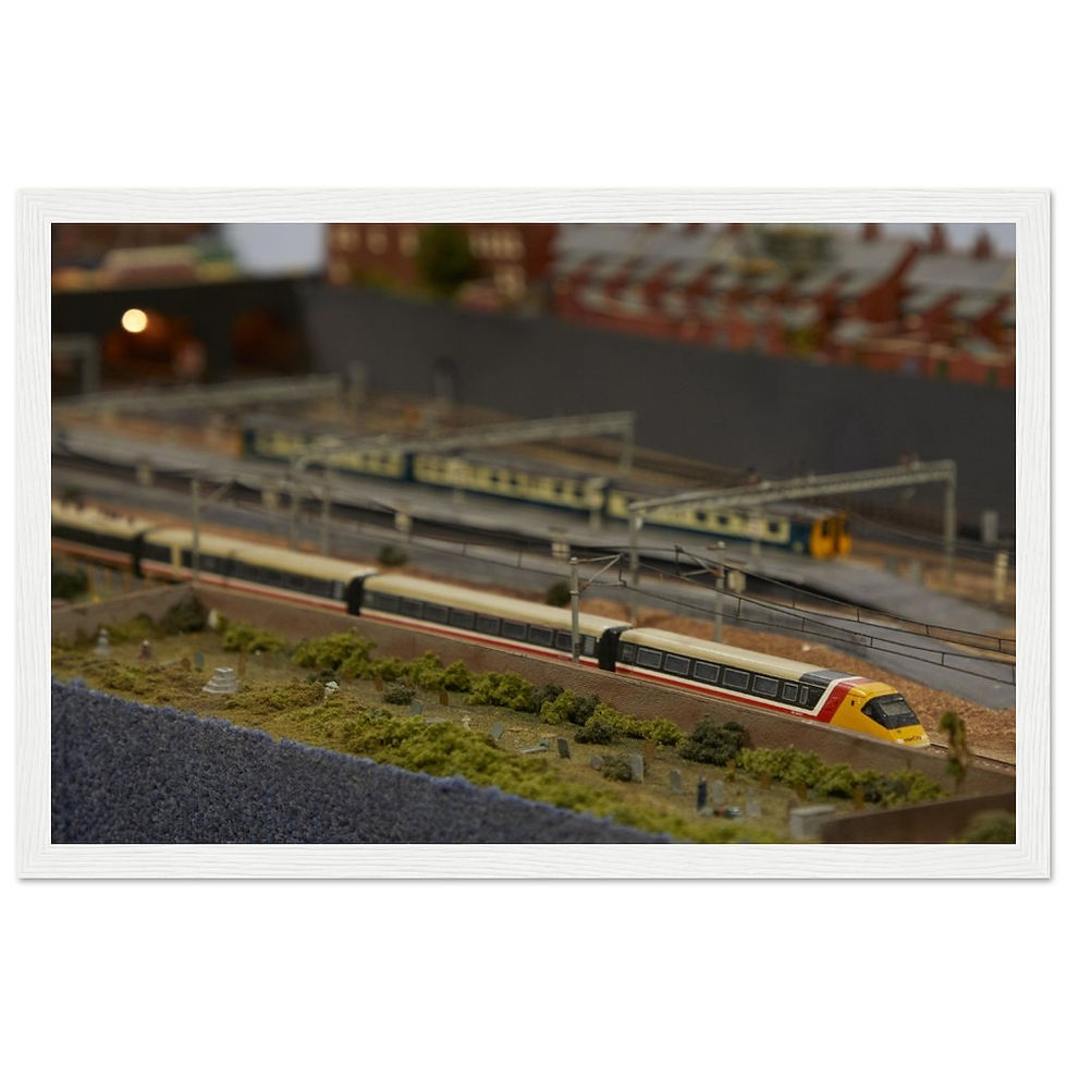 Thumbnail: APT-P Poster (with frame)