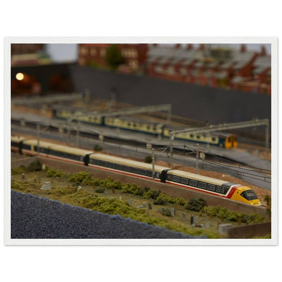 Thumbnail: APT-P Poster (with frame)