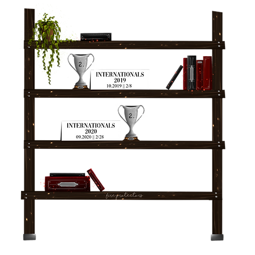 Unbenanntes_Projekt 87 Kopie.png