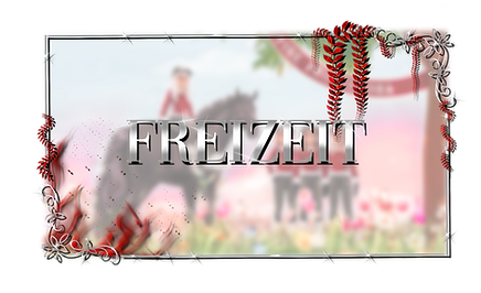 Unbenanntes_Projekt 80.png