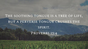 Proverbs 15 - Words of the Soul