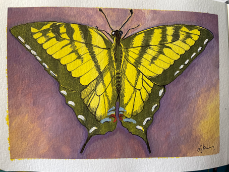 Why Gouache (gwash)