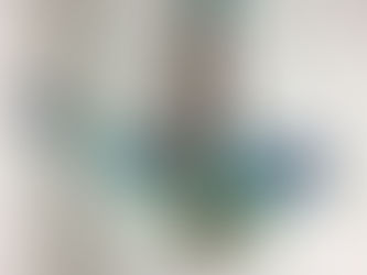 Du soleil et des oiseaux ! Vive le printemps !