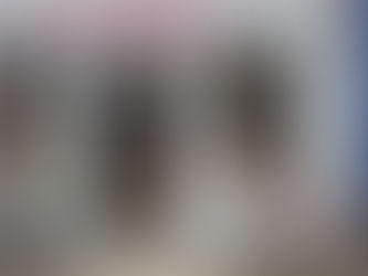 Des nouveautés pour mettre en boutique à Châteaubriant. Premières créations. Les chouettes perchées.