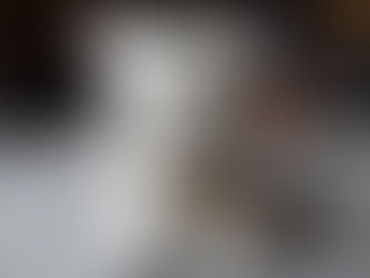 Avant / Après : De la chaussette au chaton. 100% recyclage. Comment c'est fait ?