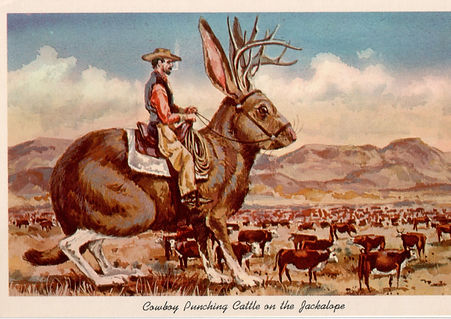 jackalope-cowboy.jpg