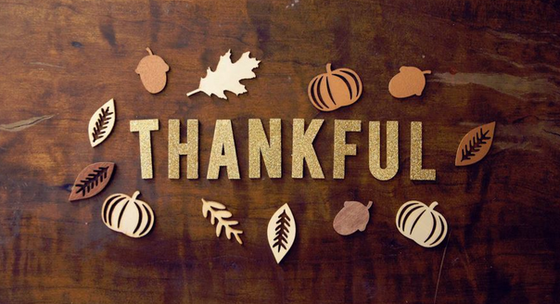FOCUS Favourites November 2019