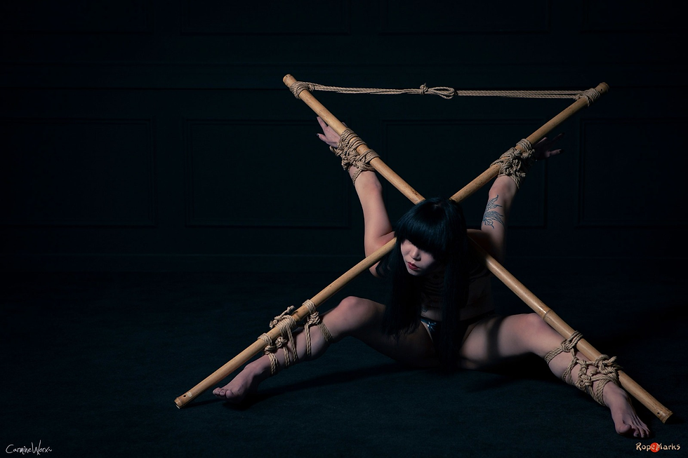 Ropemarks: Playful and Dirty, Bound to Bamboo