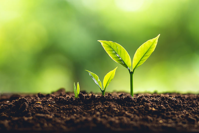 GROW-Coaching-ADHD-Wellbeing