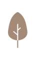 arbre.png