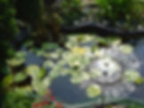 DSC00854 [jeco].JPG
