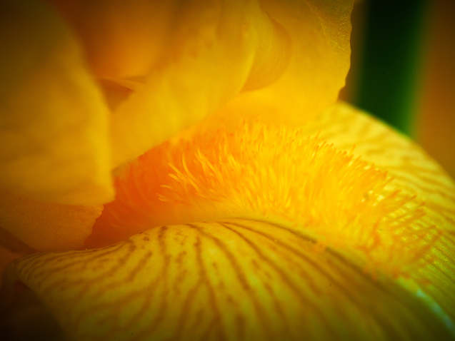 untitled image