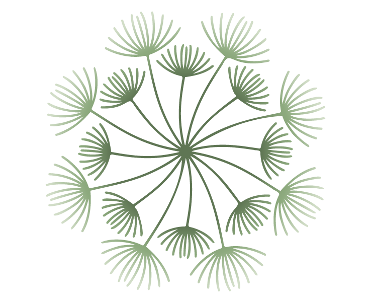 TOGS_FLOWER_2.png