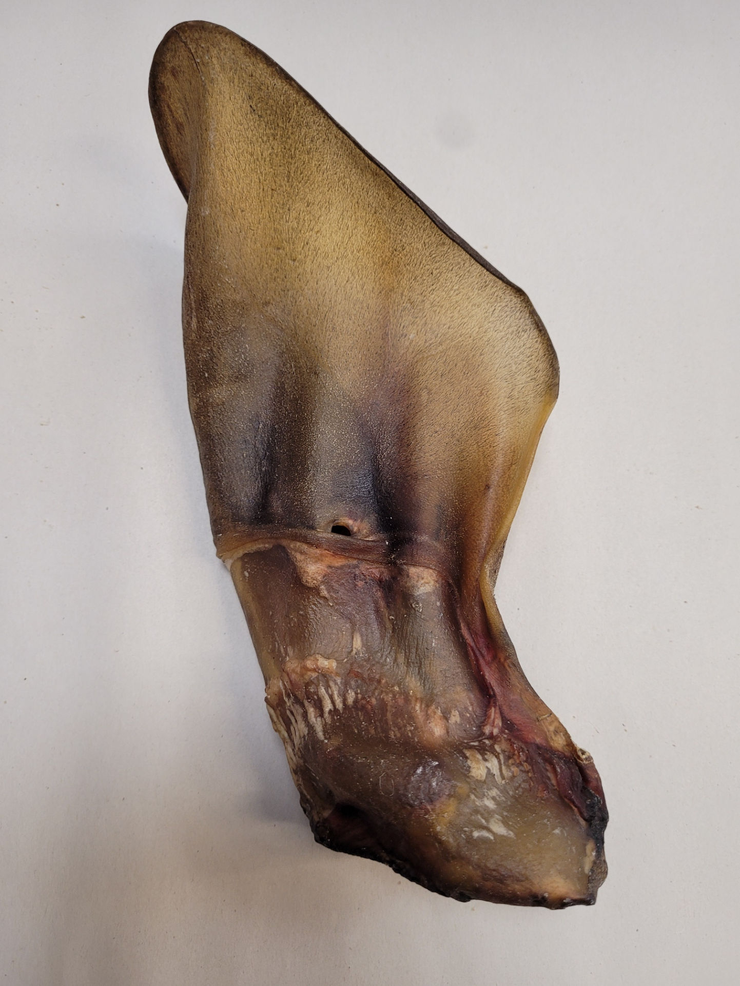 Cow Ear