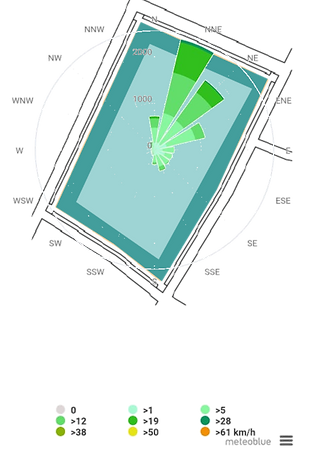 Rosa de vientos 1.png