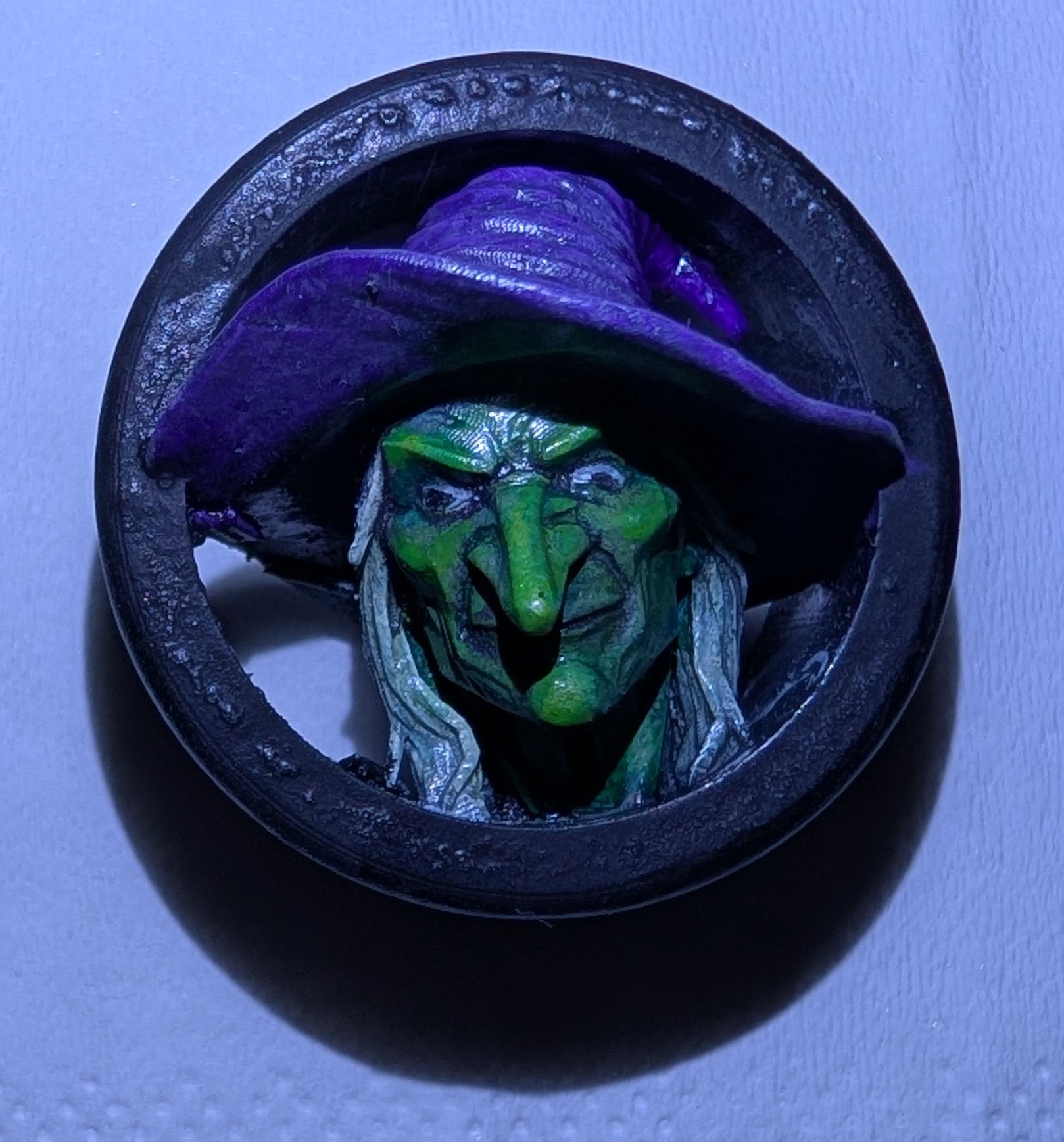 Wicked Witch Ear Plugs (Pair)