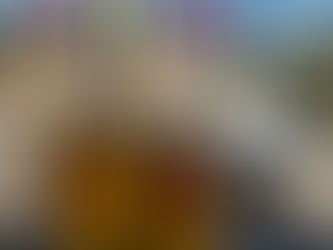 CARAVANE MAPLE SAVAGE