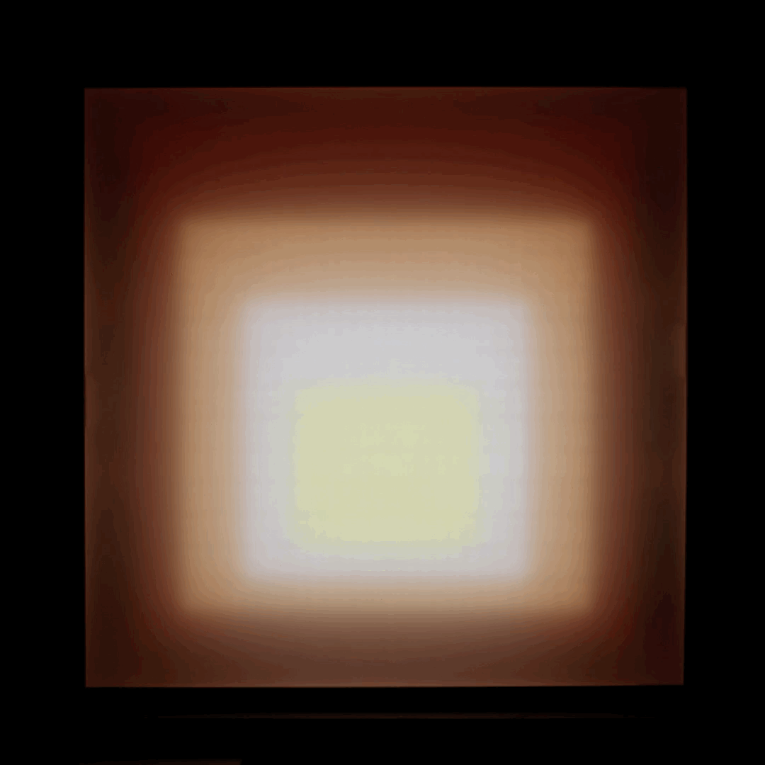 Infinite_Albers_gif.gif