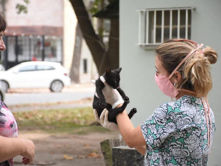 #CiudadenMarcha: Cuidar a nuestros animales es cuidarnos