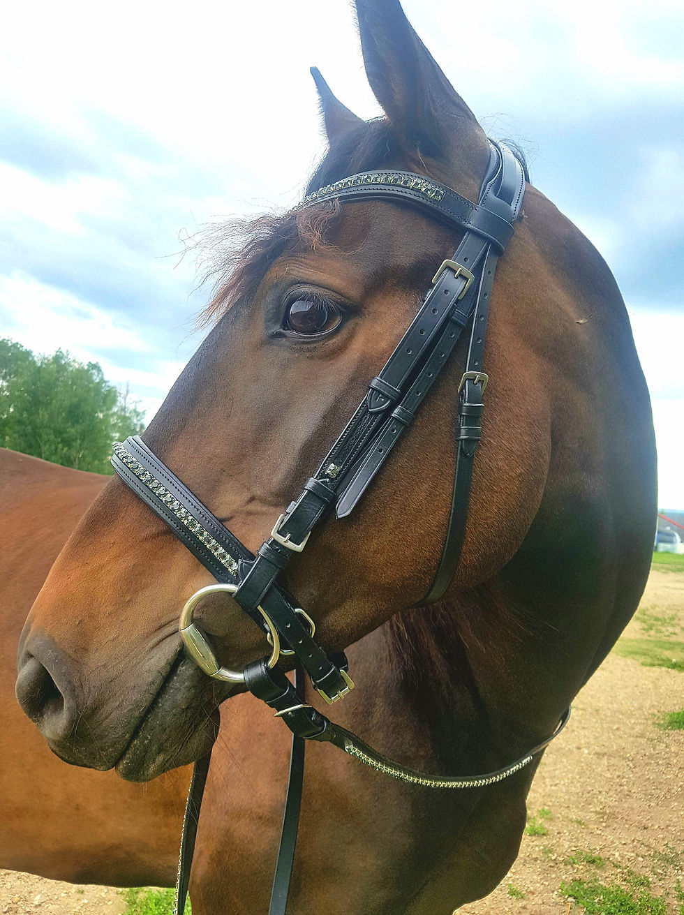Thumbnail: "Black Tie Affair" Dressage Bridle