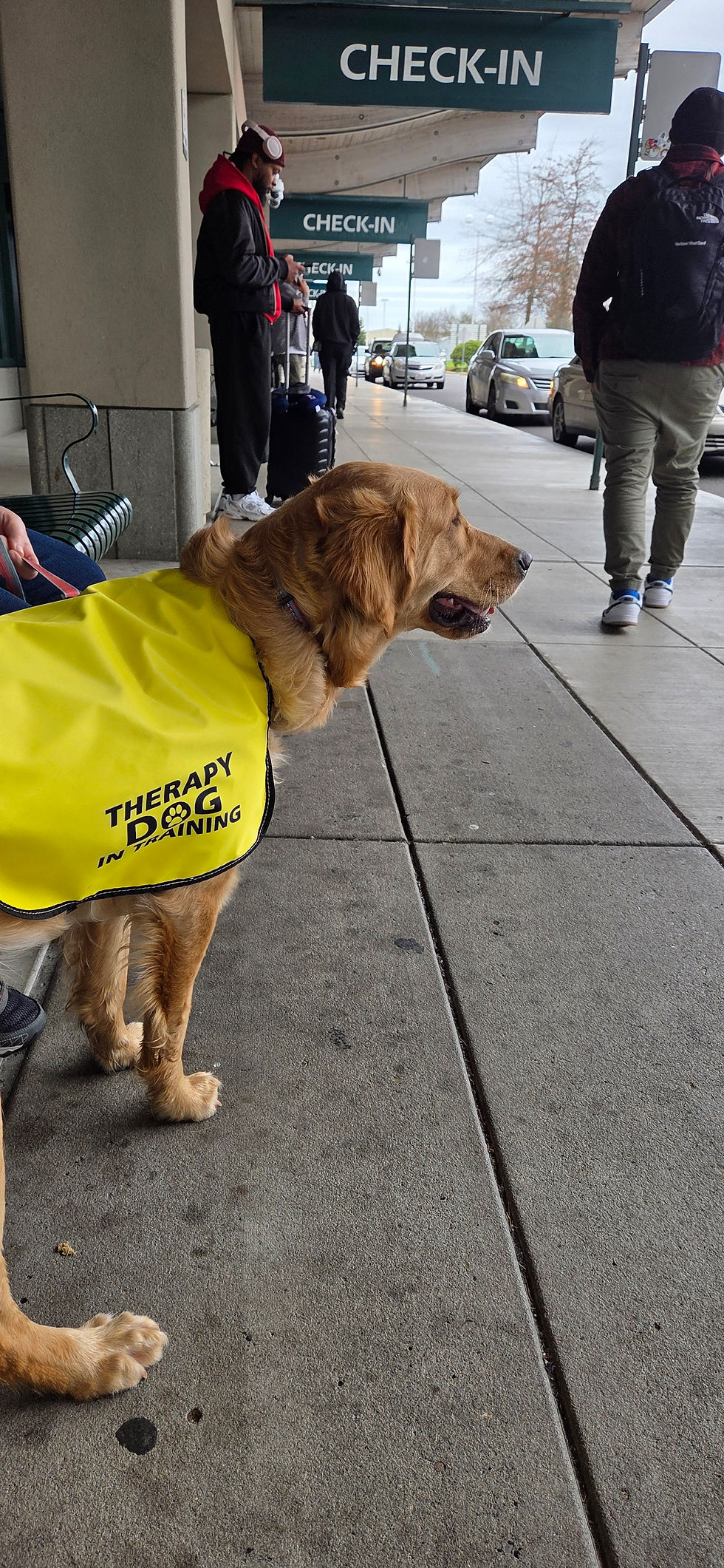 Spending some time outside until Izzy was able to calm and follow commands.