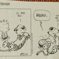 What is a Therapy Dog?