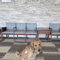 First Official Therapy Visit!