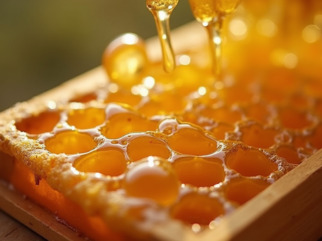 How to Harvest Raw Honey from Your Own Beehive at Home
