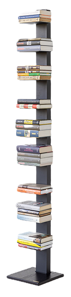 Aspase Bookshelf full with books