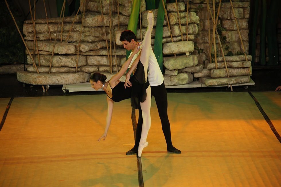 'Pas de deux' 2011
