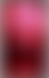 Satanic Democrats Ten Anti-Commandments